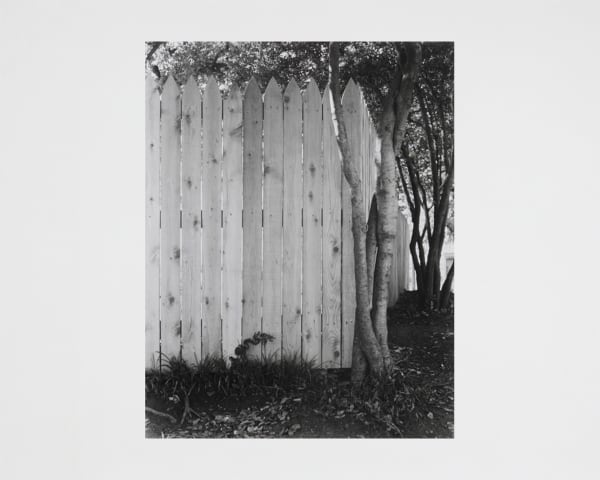 Torbjørn Rødland Dallas no. 2, 2011-2012 Selenium toned silver gelatin print