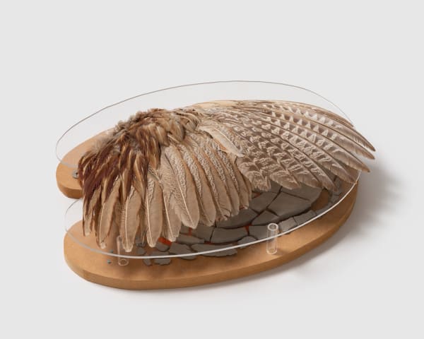 Charlotte Brüel Haiku Object Untitled, 2012-2015 Acrylic glass, pheasant wing, cracked blue clay, oil painting, peals, mdf plate