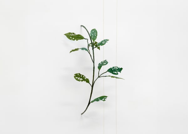 Tania Pérez Córdova Aglaonema nitidum, 2024 Iron, wire, epoxy, plastic, gilded chain