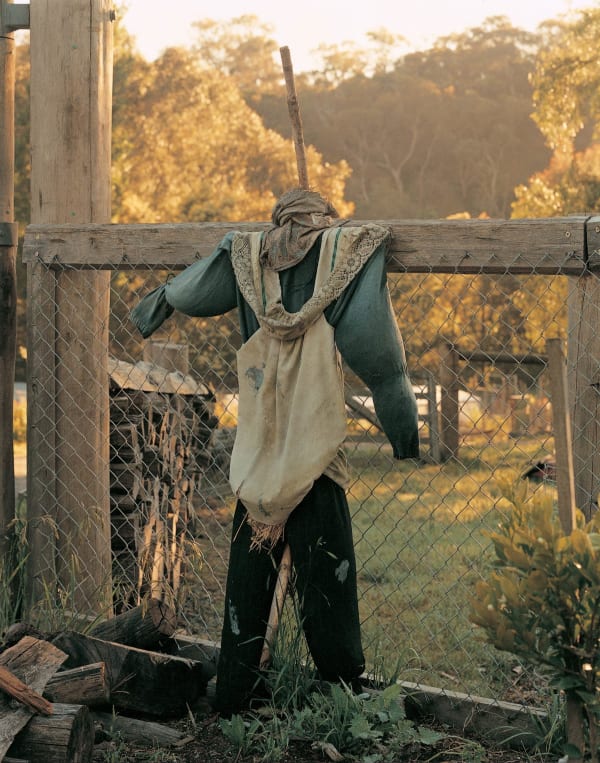 Torbjørn Rødland Strawman no. 3, 2000 C-print on aluminium