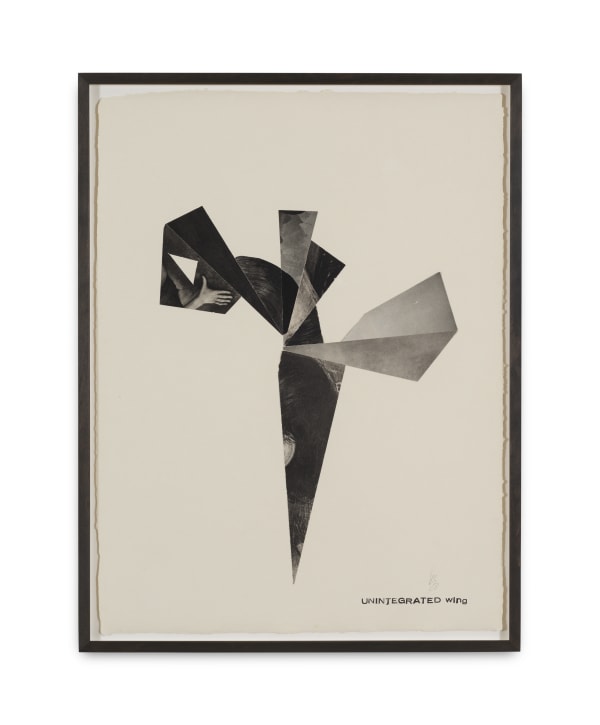 Katja Strunz, Unintegrated Wing, 2023