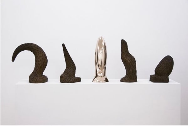 Carl D'Alvia, The Birds, 2016