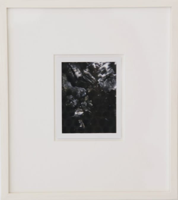 Robert Beck, Untitled (Rossy Camp, Mount Desert Island, Maine, 8/23/99), 1999