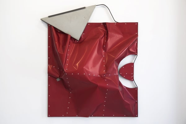 Dorian Gaudin, This should be alive, 2016