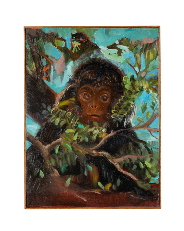 Guy Slabbinck, Gazing at the stars, 2025