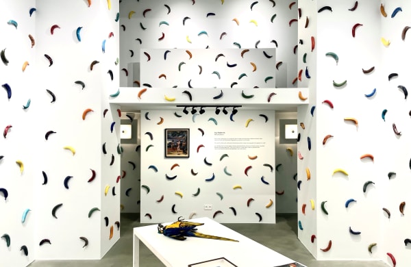 Guy Slabbinck, Banana 50m², 2023-2025