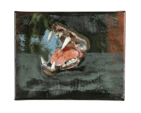 Guy Slabbinck, Maul, 2024-2025