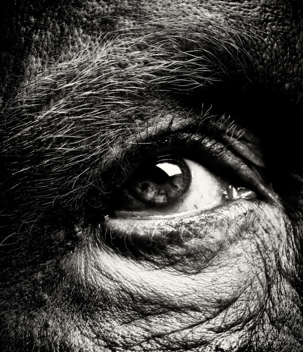 Sandro Miller, Bill Brandt / Eyes #4 (1960-1964), 2014