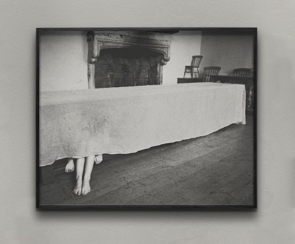 Vikram Kushwah, Hidden, Printed 2023