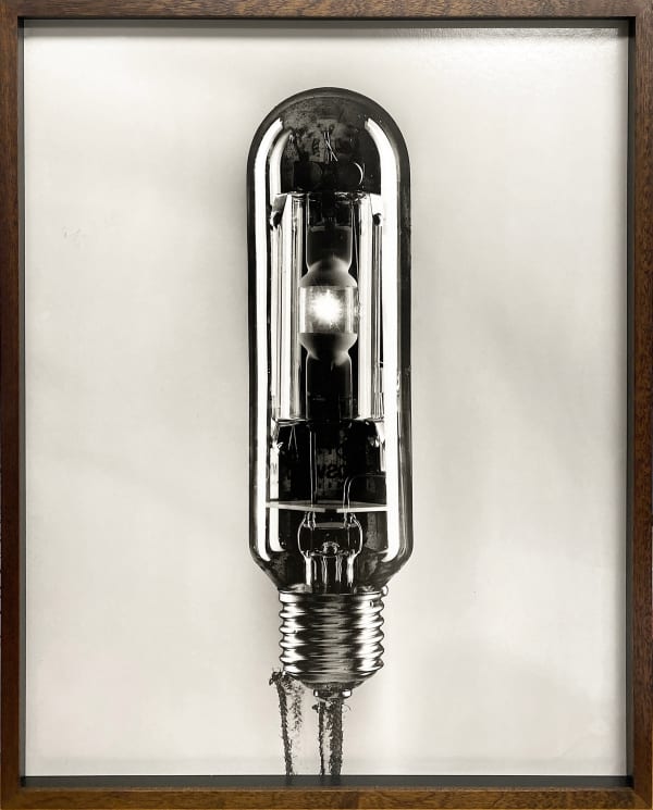 Sebastian Edge, Darklight #9, 2024