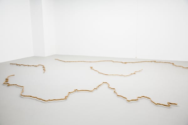 Nipan Oranniwesna, Neither Body nor Soul, 2018