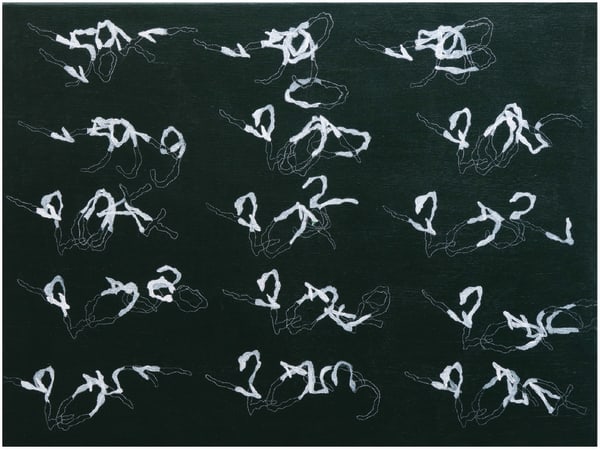 Jedsada Tangtrakulwong, Calling, Singing, Screaming, Crying (Blue and Gold Macaw) , 2019