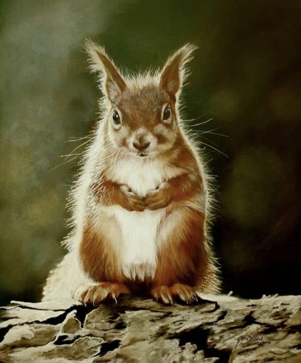 Ruadh (Squirrel)