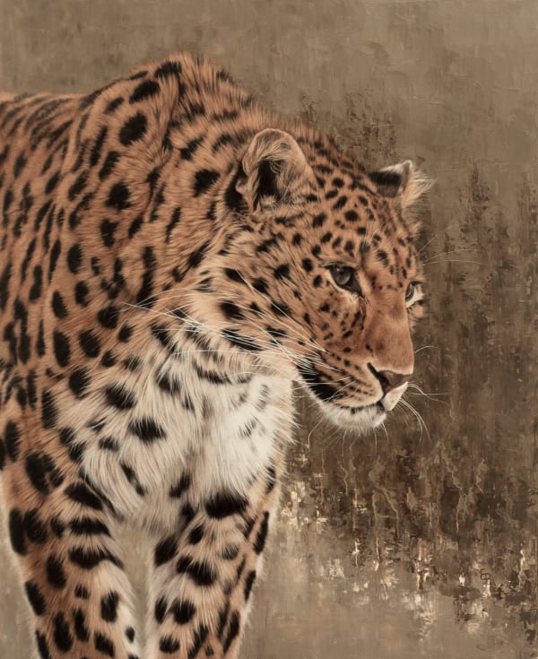 Emma Bowring, Amur Leopard, 2024