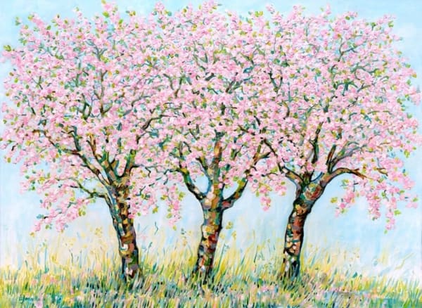Blossom Trees