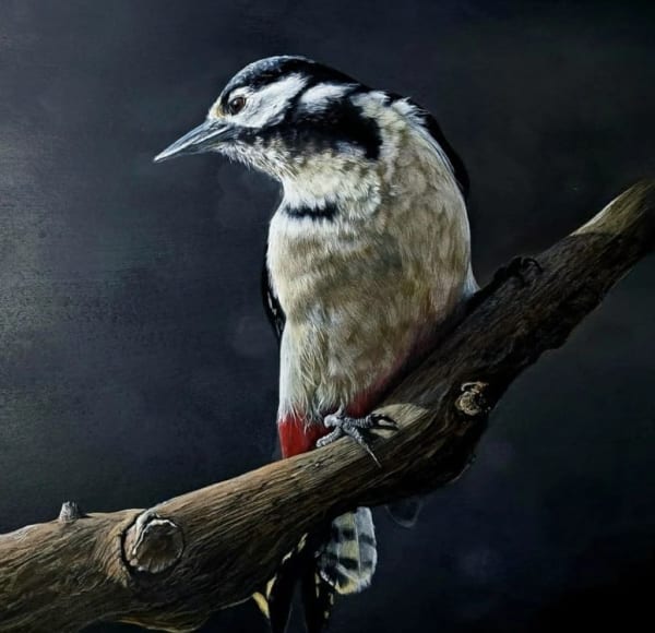 Wildlife