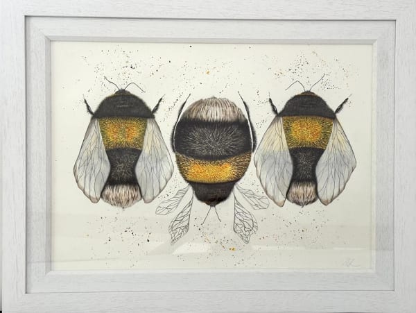 Three bumble bee's, one facing opposite direction to others