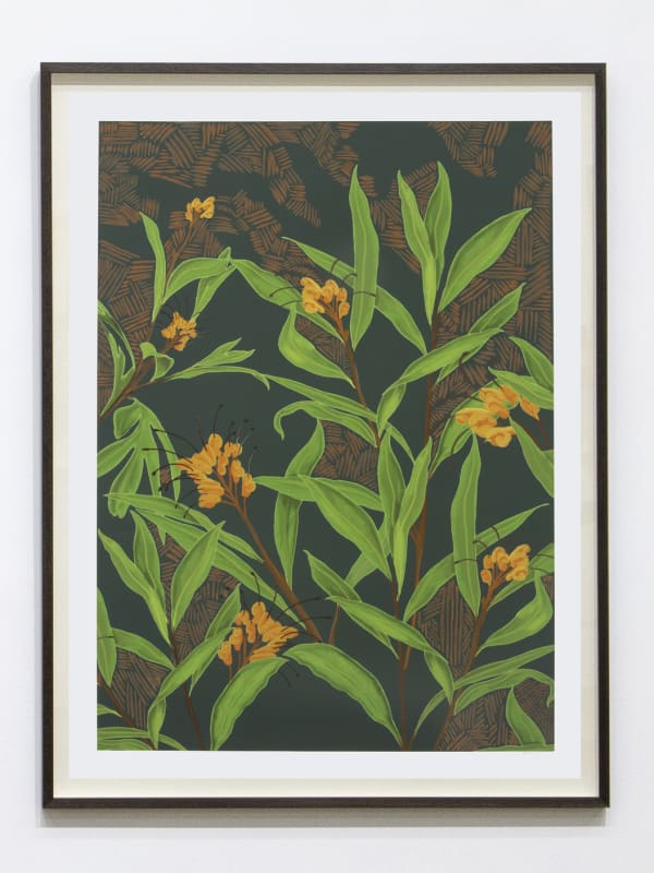 Dylan Mooney Grevillea Venusta – Grevillea, 2022 digital illustration hand-painted with Yuwi ochre 120 x 88 cm | ed. of 5 + 2 AP 60 x 44 cm | ed. of 10 + 2 AP
