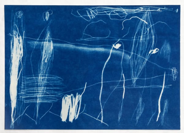 Matt Bromhead Ghost Gums, 2025 cyanotype drawing on cotton paper 29 x 41.5 cm
