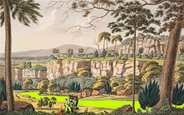 Joan Ross, I dig your land, 2013