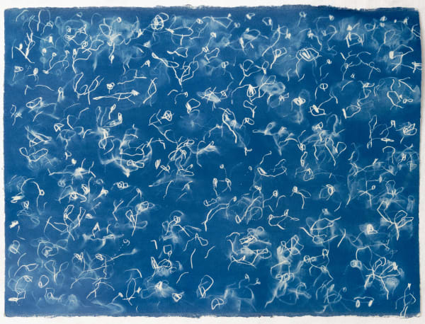 Matt Bromhead JS3 (1), 2025 cyanotype drawing on cotton paper 58 x 78 cm