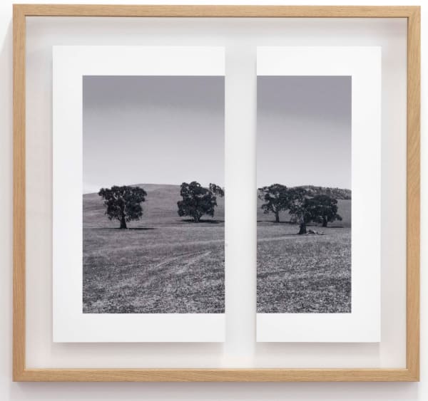 James Tylor, Tapa-arra Through the Landscape 6, 2024