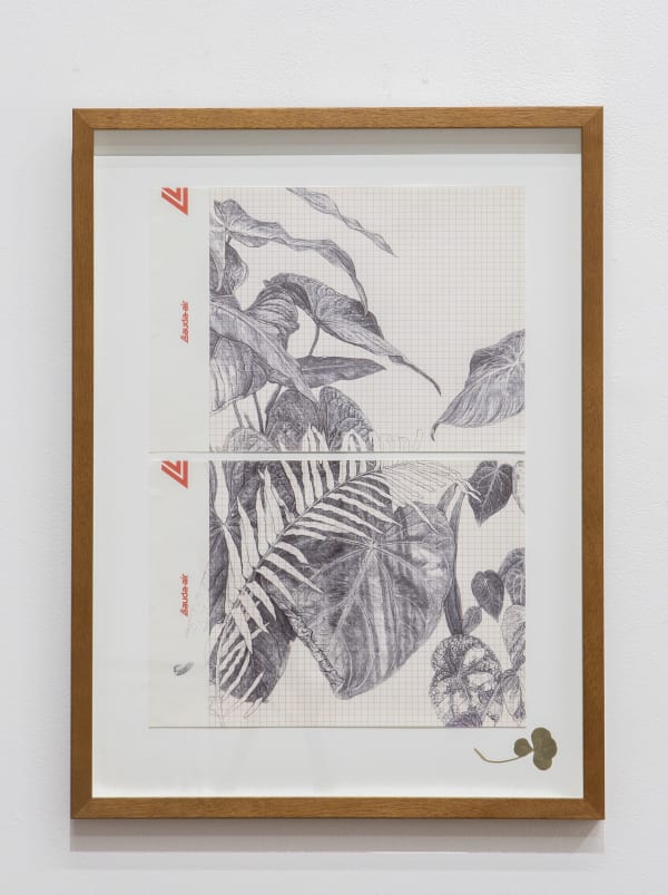 Neva Hosking The Last Garden on Loftus Crescent IX, 2022 ink on vintage graph paper, signed with four-leaf clover 43 x 29.5 cm / 50.5 x 41.5 cm (framed)