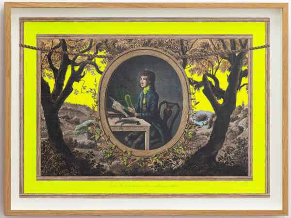 Joan Ross Joseph Banks did not discover this 108 million year old flower, 2025 hand-coloured pigment print on rag paper 64 x 90 cm