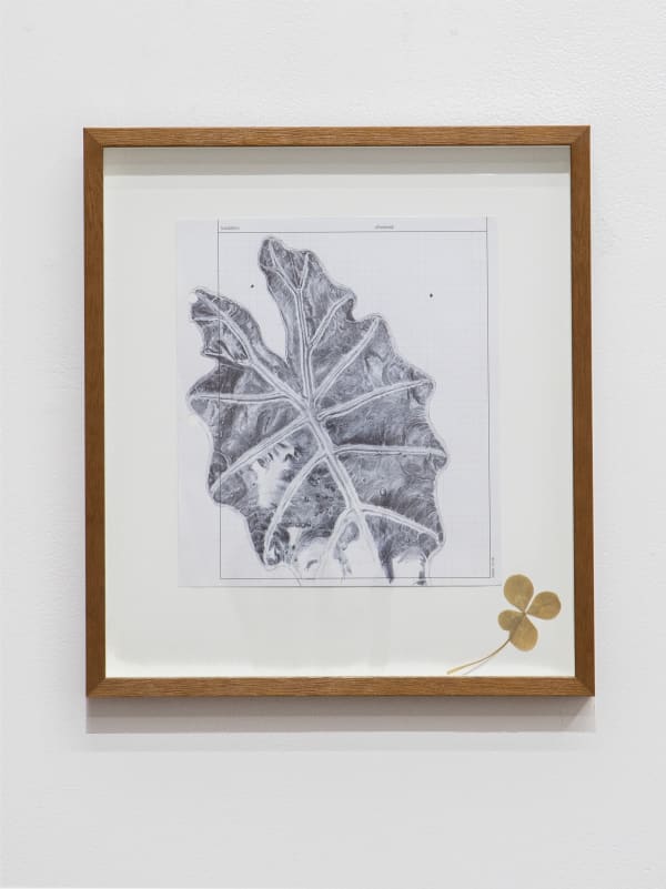 Neva Hosking, The Last Garden on Loftus Crescent XV, 2022