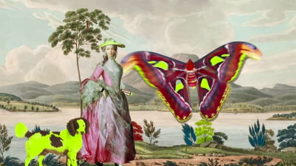 Joan Ross, Touching other people’s butterflies [animation], 2013