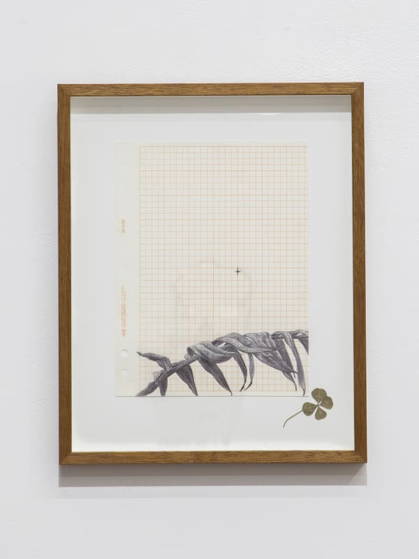 Neva Hosking, The Last Garden on Loftus Crescent XVI, 2022