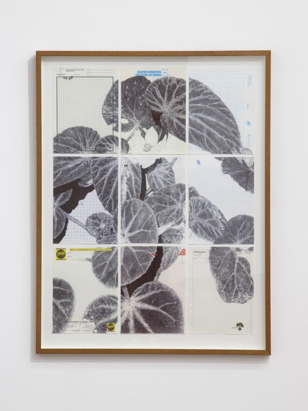Neva Hosking The Last Garden on Loftus Crescent III, 2021 ink on vintage graph paper, signed with four-leaf clover 85 x 64 cm / 97 x 75 cm (framed)