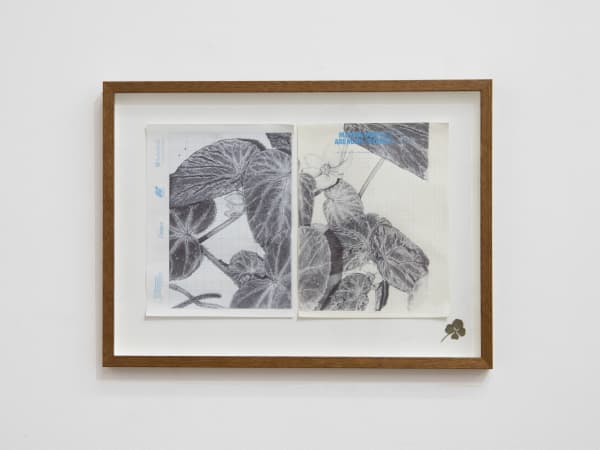 Neva Hosking The Last Garden on Loftus Crescent VII, 2021 ink on vintage graph paper, signed with four-leaf clover 28 x 43 cm / 41 x 50.5 cm (framed)