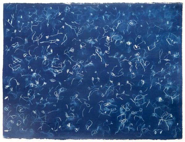 Matt Bromhead, JS3 (2), 2025