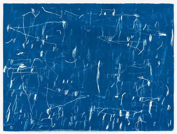 Matt Bromhead Town and Country (3), 2025 cyanotype drawing on cotton paper 58 x 78 cm
