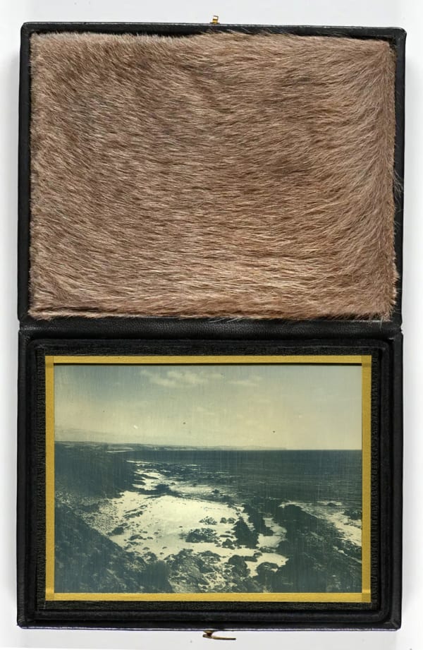 James Tylor Daguerreotype case, 2023 leather, velvet, & kangaroo fur (daguerreotype not included) 23 x 14 cm