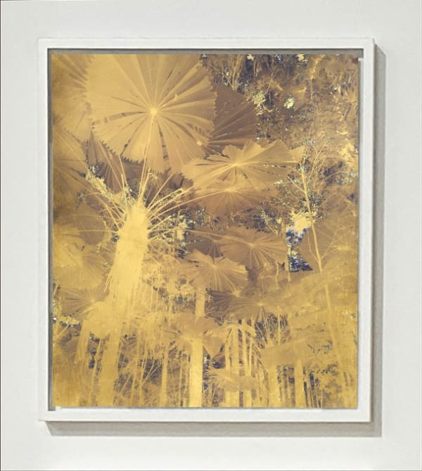 Danie Mellor, The perpetual light, 2023