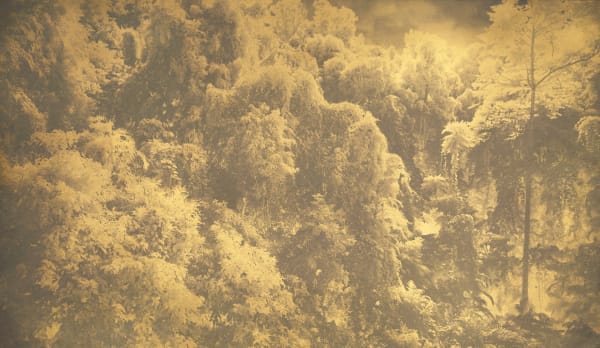 Danie Mellor, The emerald forest (bala dulgul), 2022