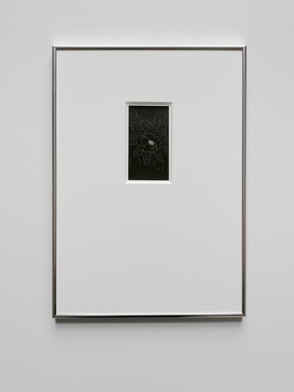 Tom Blake holding leaves, 2025 etching, aluminium frame, museum glass 12 x 6 cm (etching), 41 x 30 cm (frame)