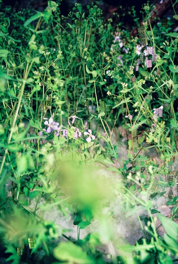 Kai Wasikowski, Translate #3 (Beijing 2019), 2020