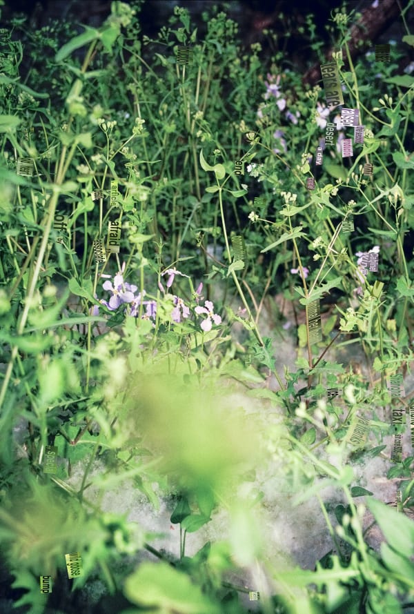 Kai Wasikowski, Translate #4 (Beijing 2019), 2020