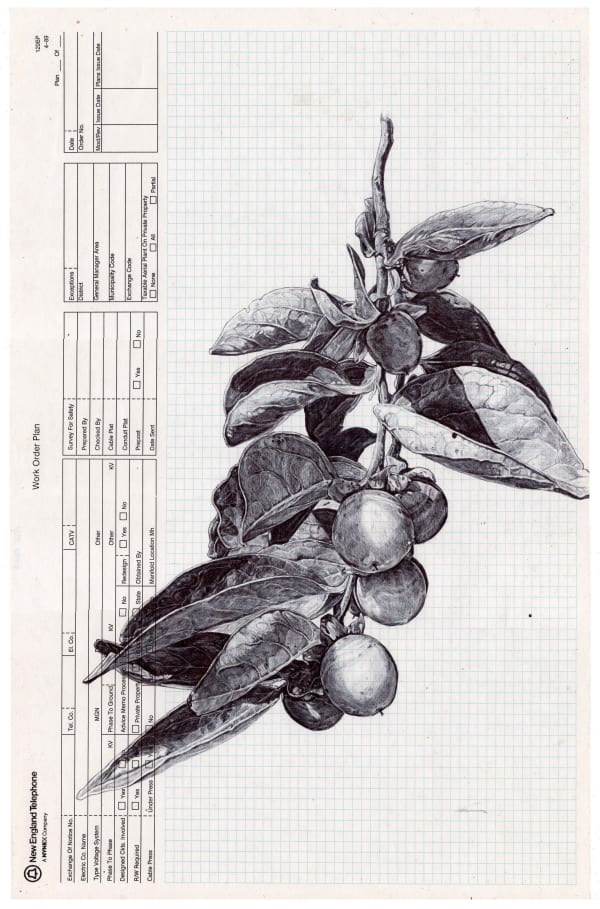 Neva Hosking, Good Omen (Persimmon), 2022