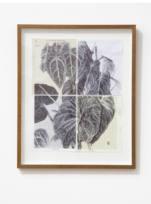 Neva Hosking The Last Garden on Loftus Crescent II, 2021 ink on vintage graph paper 50 x 40 cm / 64 x 52.5 cm (framed)