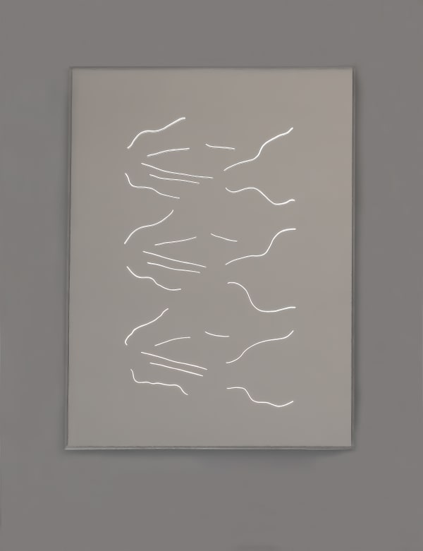 Tom Blake shelves (holding leaves), 2022 hand-etched de-silvered mirror, light box, artist-made aluminium frame 40 x 30 cm