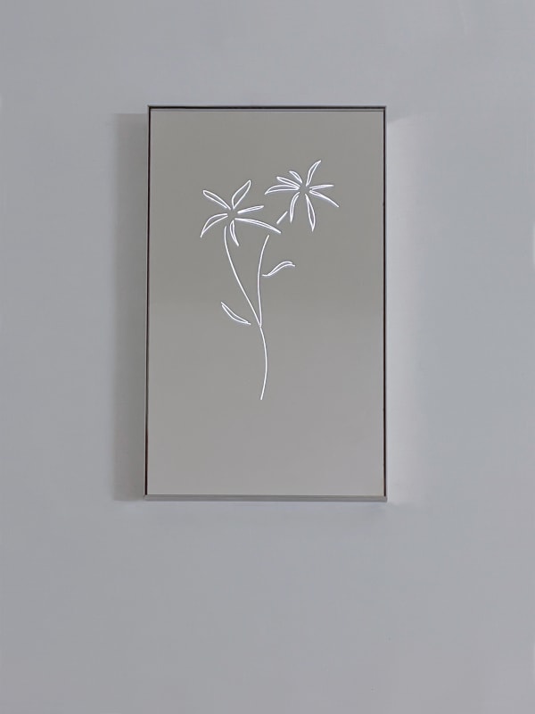 Tom Blake index of a stream (leaves), 2025 hand etched de-silvered mirror, light box, artist made aluminium frame 41 x 21 cm