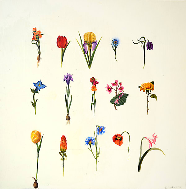 Carol Mothner, Catalogue