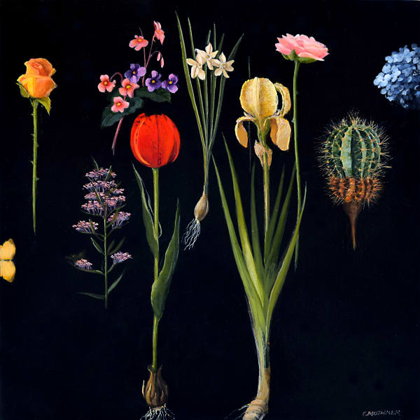 Carol Mothner, Tulip, Cactus & Friends