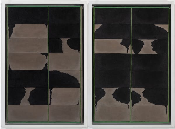 Diana Moore, Light and Shadow on Rice Fields No. 4