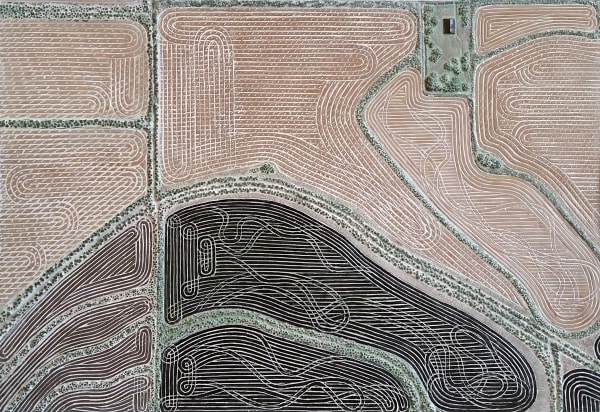Diana Moore, Homestead or Hillock