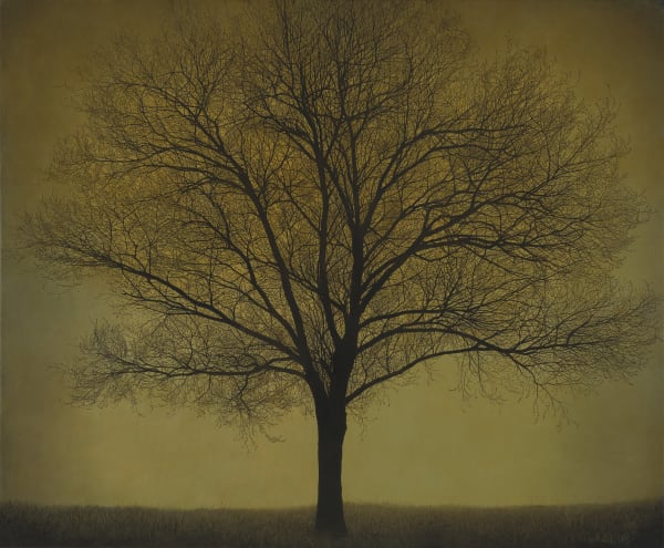 Braldt Bralds, Symphony